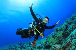 a person in a diving suit is pointing at a reef at West End Dive Resort in West End