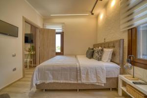 a bedroom with a bed and a television in it at Lotza apartment Votsalo in Vrontádos