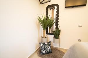 a room with two potted plants and a mirror at Lotza apartment Votsalo in Vrontádos