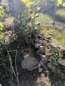 a pile of rocks in a garden at Private room in Omaha +6 photos