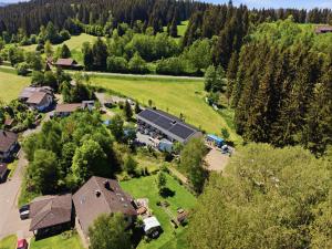 an aerial view of a house with a field and trees at Schwarzwald Ledi - Bed & Breakfast Feldberg in Feldberg