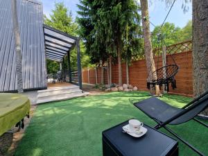 a patio with a green lawn with a chair on it at Bukowy Domek Całoroczny in Sieraków