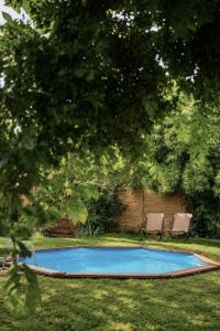 a small swimming pool in a yard with two chairs at Árnyaskert Vendégház in Békésszentandrás +36 photos