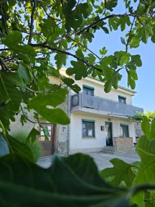 a house seen through the leaves of trees at Mandala Terra in Gračišče