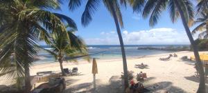 a view of a beach with palm trees and the ocean at Le Colibri du Paradis in Sainte-Anne