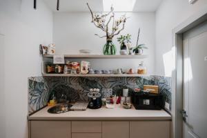 a kitchen with a sink and shelves with plants at Marinucci Rooms in Termoli