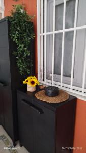 a black cabinet with two potted plants and a window at Apartamento Perea playa in Tavernes de Valldigna