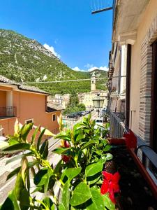 a balcony with plants and a view of a city at Via Roma 40 - apartment in Pacentro