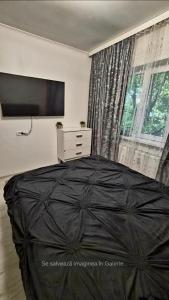 a bedroom with a large bed and a large window at Dory Studio in Drobeta-Turnu Severin