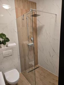 eine Dusche mit Glastür im Badezimmer in der Unterkunft VUELO - shuttle gratis in Pyrzowice + 23 Fotos
