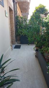 a courtyard with potted plants in a building at Corso Garibaldi in San Salvo
