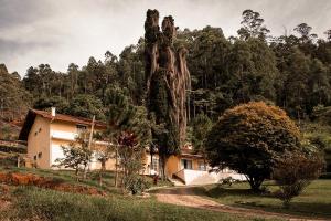 a house in front of a large tree at Pousada Alto do Vale in Nova Friburgo
