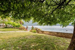 a view of the water from a park with a tree at Lakeside Paradise Porlezza in Cima