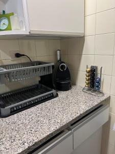 a kitchen counter with a drying rack and a sink at Mas Eucaliptus in Susqueda