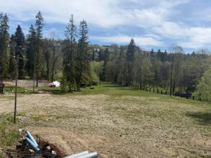 a large open field with trees in the background at Camping Przy Termach in Bańska Niżna