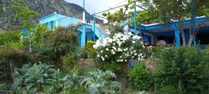 a blue house with flowers in front of it at panorama view in Chefchaouen