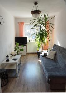 a living room with a couch and a table at Dana in Sokołowsko