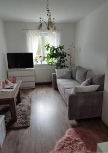 a living room with a couch and a tv at Dana in Sokołowsko