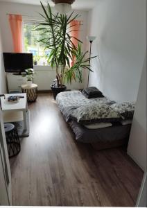 a bedroom with a bed and a potted plant at Dana in Sokołowsko