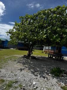a tree and a bench in a park at Dream lodge II in Tiputa +5 photos