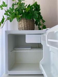 a white refrigerator with a plant in it at Le Nuage in Torre Lapillo