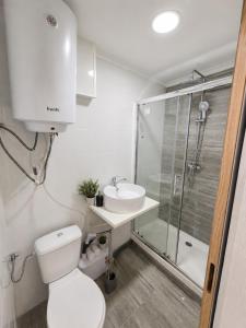 a bathroom with a toilet and a sink and a shower at Exclusive Studio Kitchenette e WC Privativo in Abrantes
