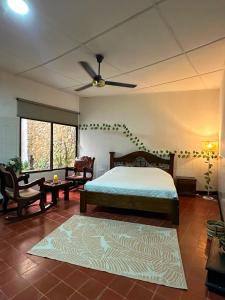 a bedroom with a bed and a ceiling fan at Templo Verde Eco hostal in Minca