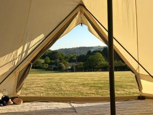 a tent with a view of a field at Looe Valley Camping in Saint Keyne