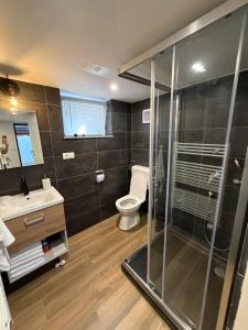 a bathroom with a toilet and a glass shower at Villa Verdea Lopatinec in Lopatinec +37 photos