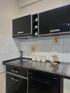 a kitchen with a black counter top in a room at Apartman Una in Leskovac