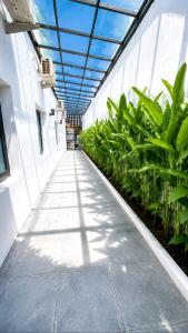 a walkway in a building with plants at Sekuto Inn by Sawala in Tegal