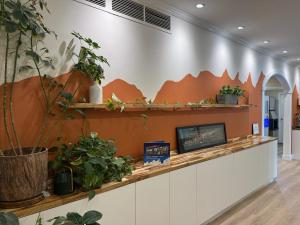 a lobby with plants on shelves and a wall at Boulder Twin Lakes Inn in Boulder