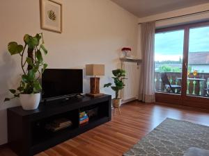 a living room with a flat screen tv and plants at Ferienwohnung See und Sonne in Obing