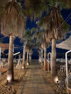 a row of palm trees on a beach with chairs at Hamallaj Bliss in Draç