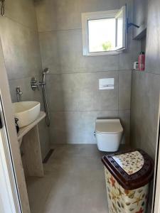 a bathroom with a sink and a toilet and a window at Hamallaj Bliss in Draç