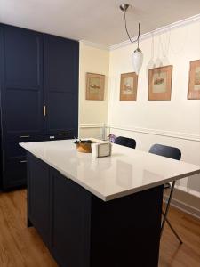 a kitchen with a white counter and blue cabinets at Bright & Spacious Full Family Home in Vancouver +10 photos