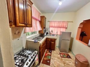 a small kitchen with a stove and a refrigerator at Mammee Bay Hideaway in Ocho Rios
