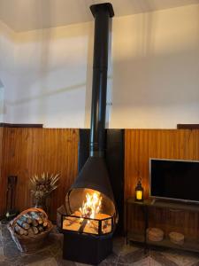 a fireplace in a living room with a tv at Sítio do Miguel in Barbacena
