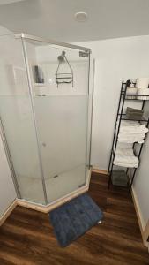a glass shower with a blue mat in a room at Modern Two Bedroom Basement Apartment in Saint John +14 photos
