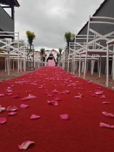 a bunch of pink petals on a red carpet at Chácara do tio Tuta in Araçariguama +15 photos