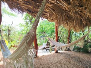 a couple of hammocks in a thatch hut at Cocolhu Treehouse & Ocean View in Tamarindo