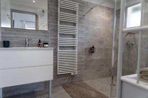 a bathroom with a sink and a shower at Chambre d'hôtes Ganttipienea in Ahetze