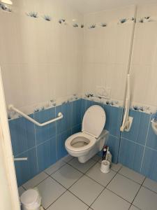 a bathroom with a toilet with blue and white tiles at Au Bas Chalonge in Ligné +9 photos