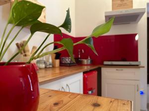 a plant in a red vase sitting on a table at Casa Rossa in Ferentillo