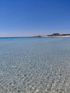 a sandy beach with people swimming in the water at Excellent Appartement S plus 3 in Kelibia