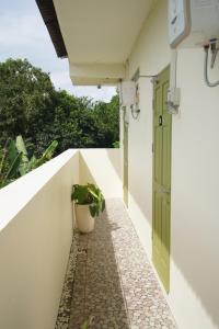 a hallway of a house with a door and a potted plant at Nagomi Studio Nyanyi in Cemagi