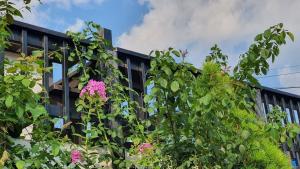 a building with some pink flowers in front of it at Namhae Tovhouse Pension in Namhae