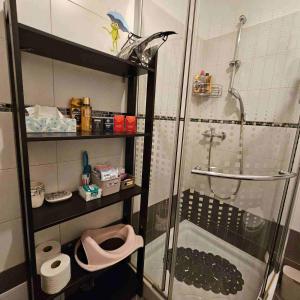 a bathroom with a shower and a toilet at Apartma Sparkle in Koper