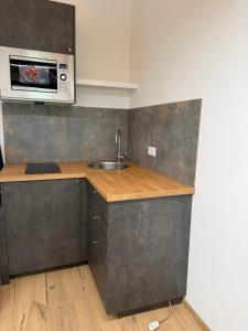 a kitchen with a sink and a microwave at Chalet Al bosco incantato in Trieste