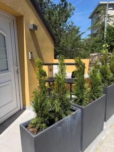 a row of planters with plants in front of a building at Chalet Al bosco incantato in Trieste +3 photos